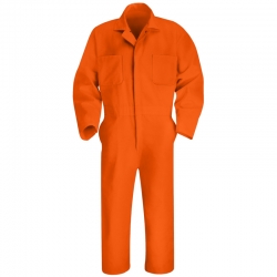 Summer Coverall